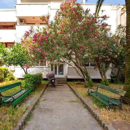 Apartamento Palm Street Near Dukley Budva